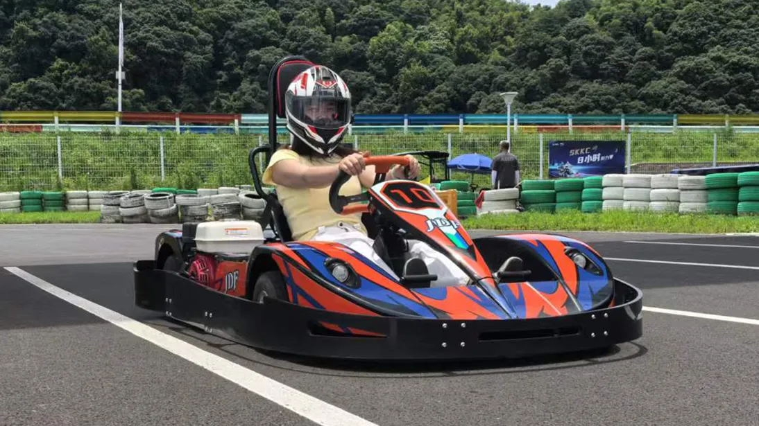 Adulto Gas Go-Kart